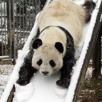 Фиксики - cosmetics